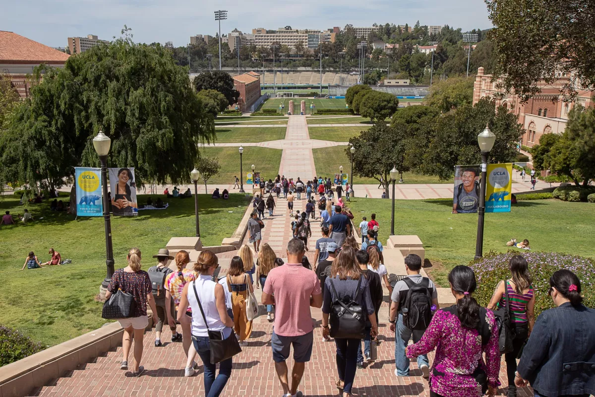 Photo of students on Janss Step