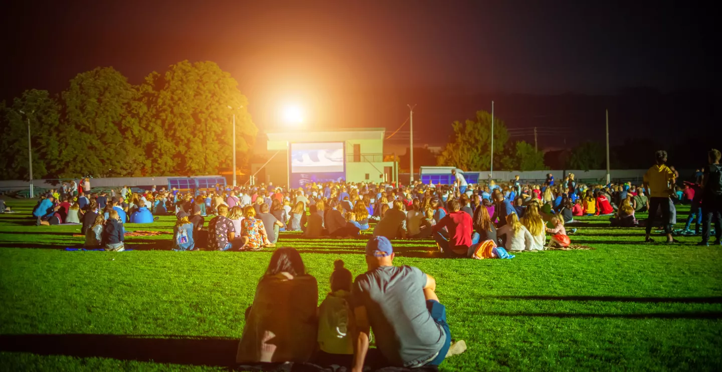 Parks After Dark, photo of couple watching movie in park